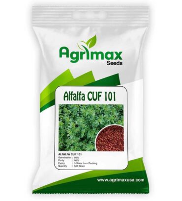 ALFALFA CUF 101
