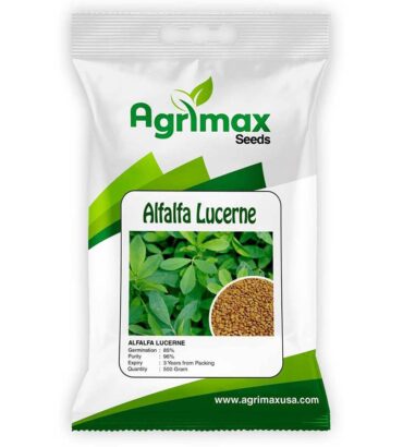 ALFALFA LUCERN