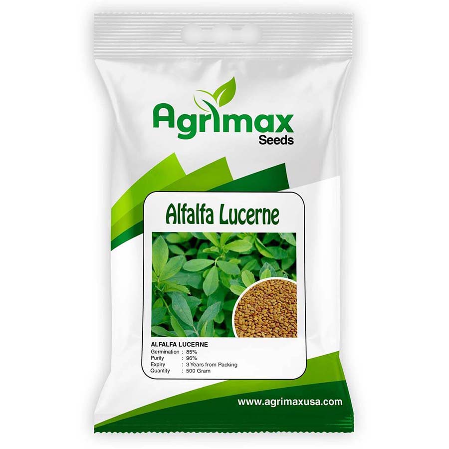ALFALFA LUCERN