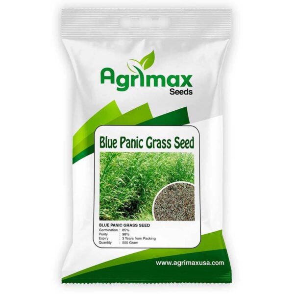 BLUE PANIC SEED