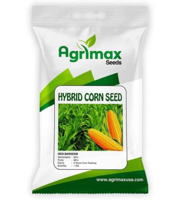 Maize Hybrid Seed