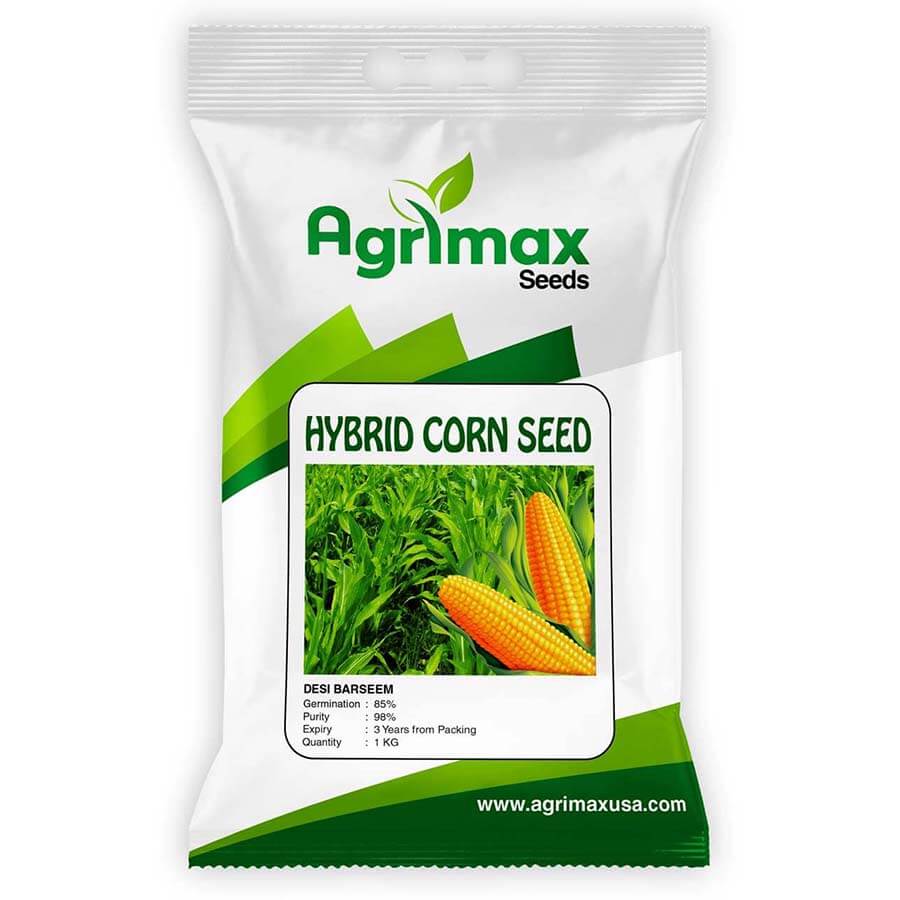 Maize Hybrid Seed
