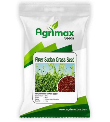 PIPER SUDAN GRASS SEED