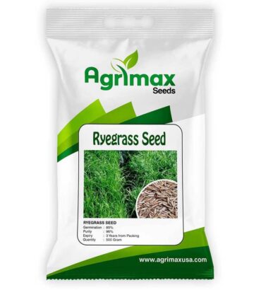 RYE GRASS SEED