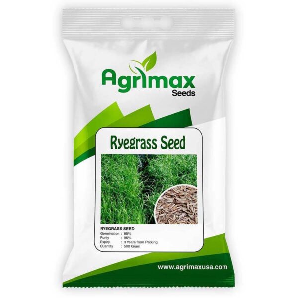RYE GRASS SEED