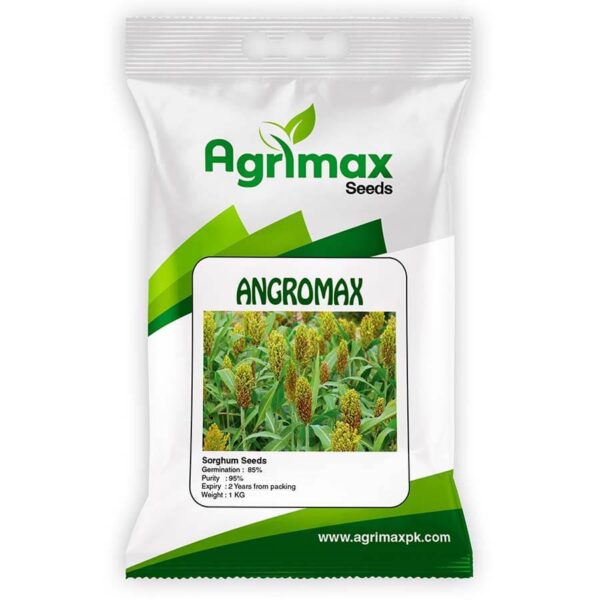 SORGHUM GRASS SEED